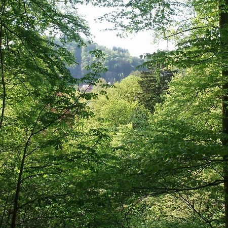 Pension/Bed And Breakfast Pangea Bad Lauterberg Exterior photo