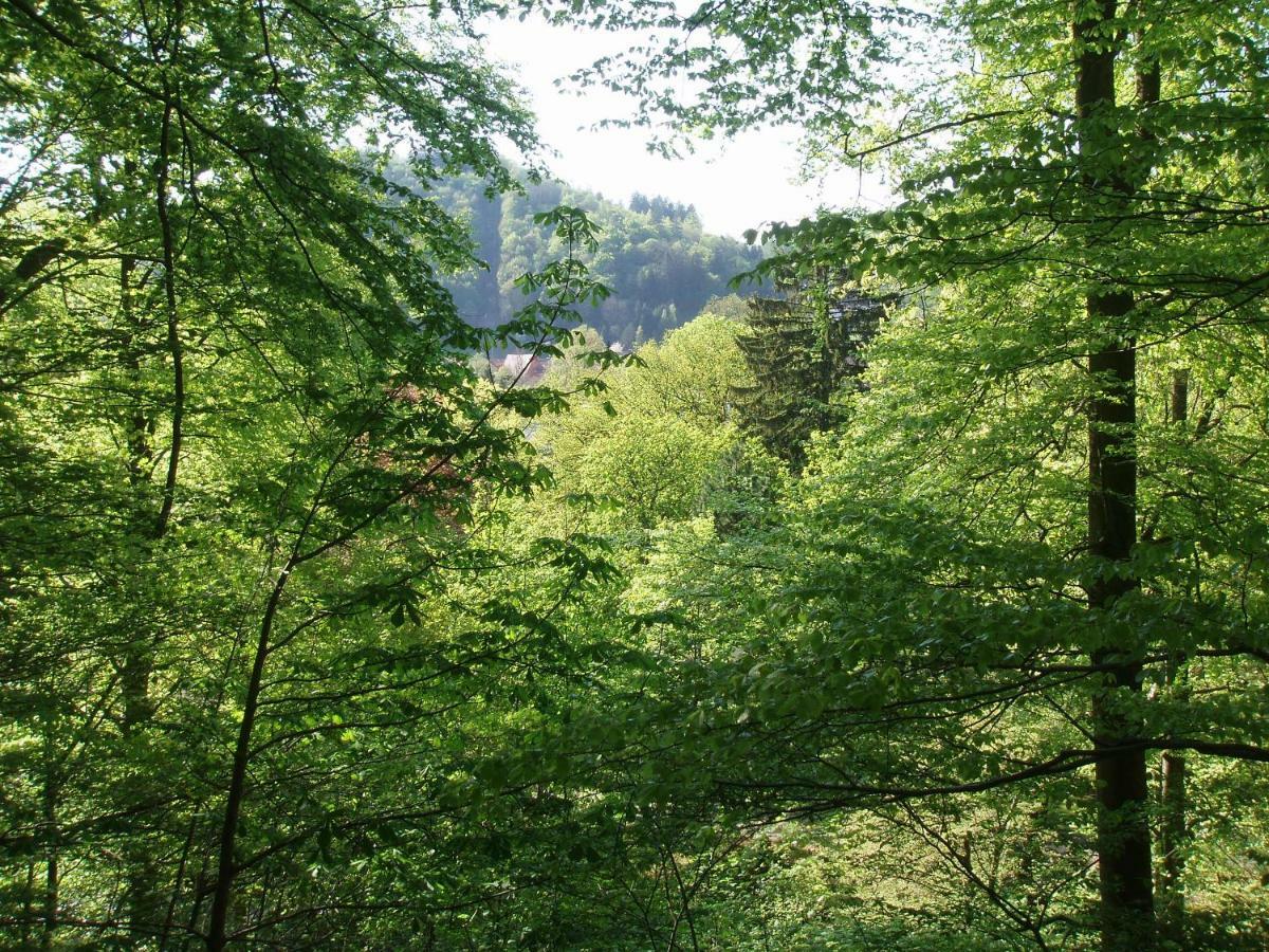 Pension/Bed And Breakfast Pangea Bad Lauterberg Exterior photo