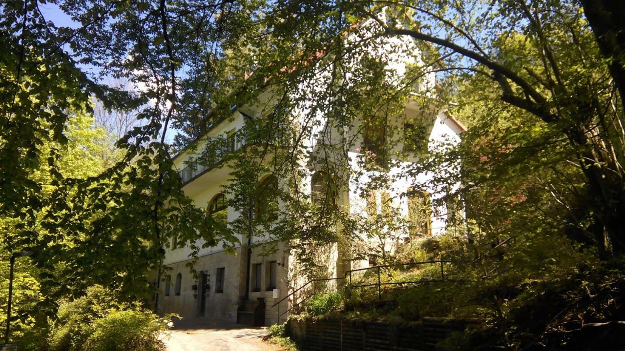Pension/Bed And Breakfast Pangea Bad Lauterberg Exterior photo